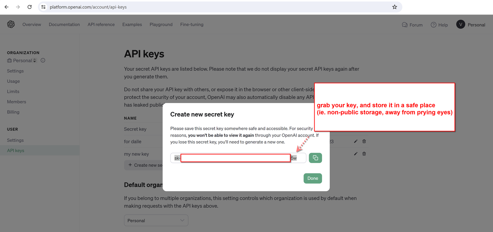 copy and store new openai api key